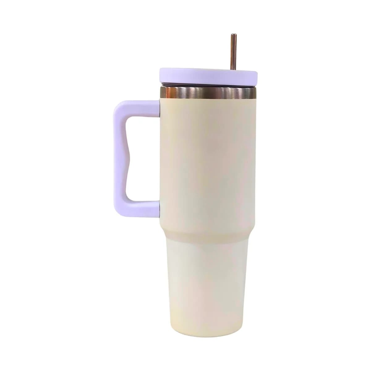 Pastel Steel-Rim Tumbler with Handle & Steel Straw